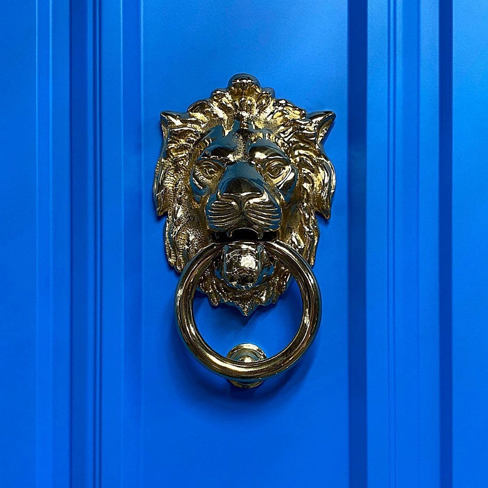 RAL 5015 на двери