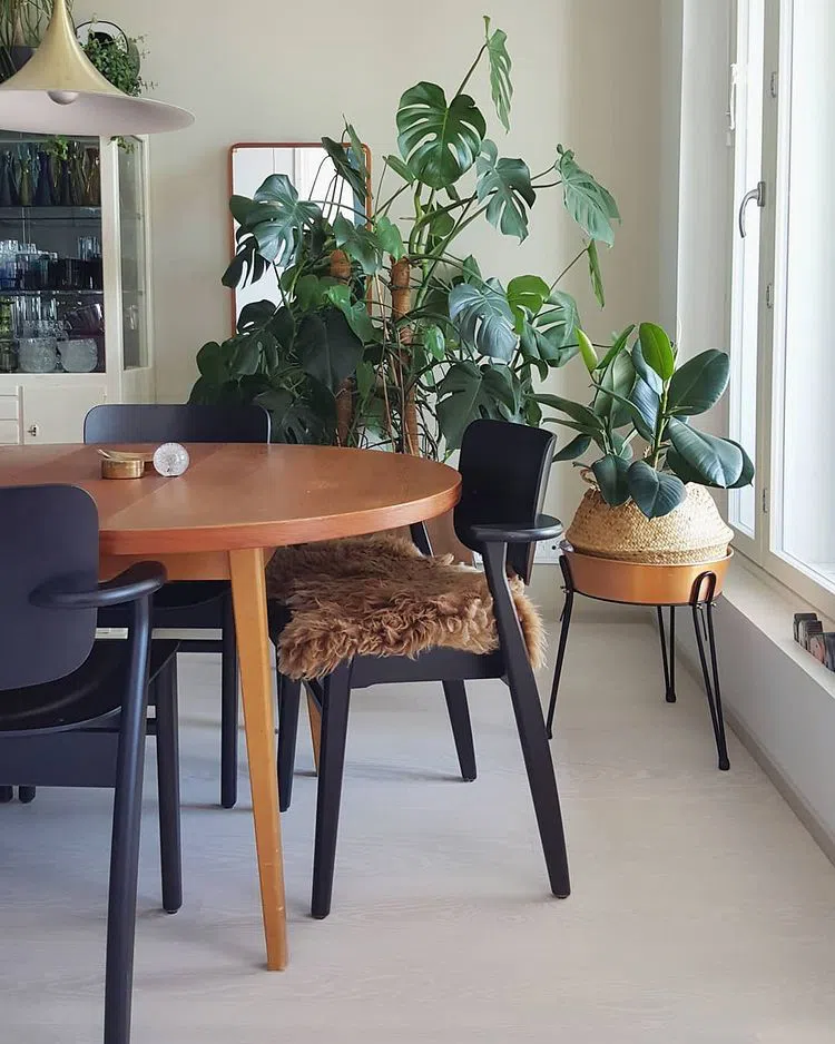 Песочный оттенок стен X459 Сон