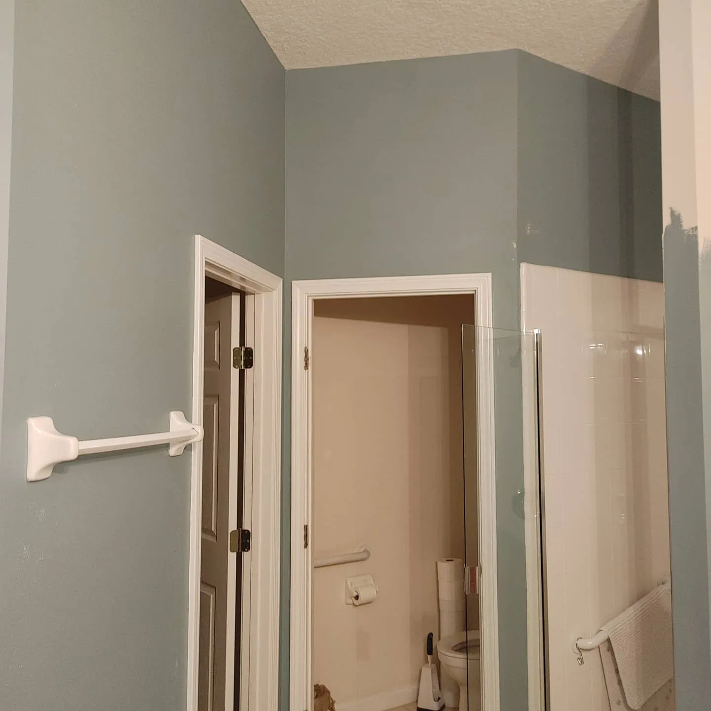 Sherwin Williams SW 9139 Debonair в интерьере фото