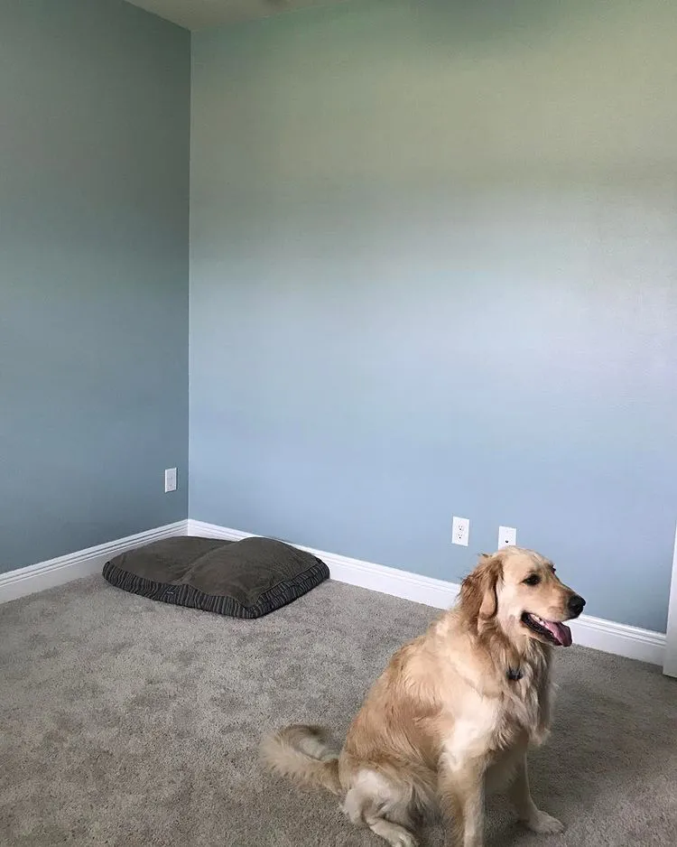 Sherwin Williams SW 6219 Rain в интерьере фото