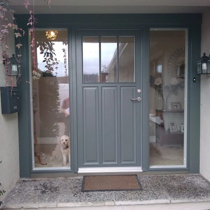 RAL 7010 входная группа