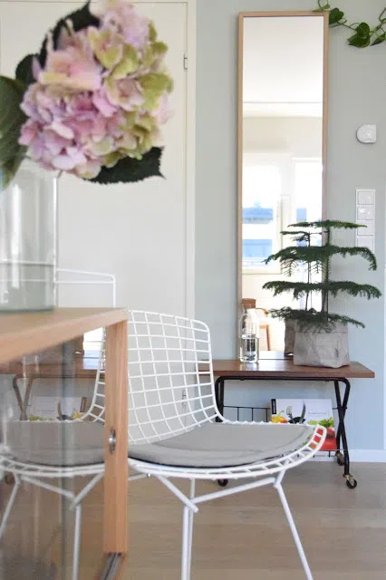 Горгонзола