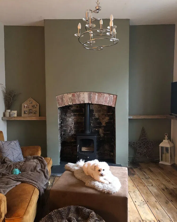 Зеленая гостиная с камином и краской Farrow and Ball Treron пример