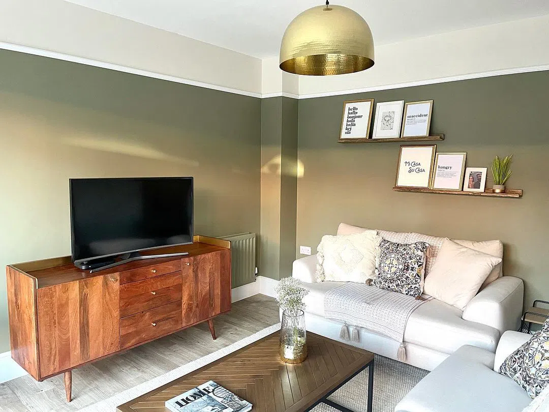 Color block в гостиной с оливковым цветом Treron