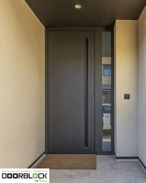 RAL 7022 на входной двери