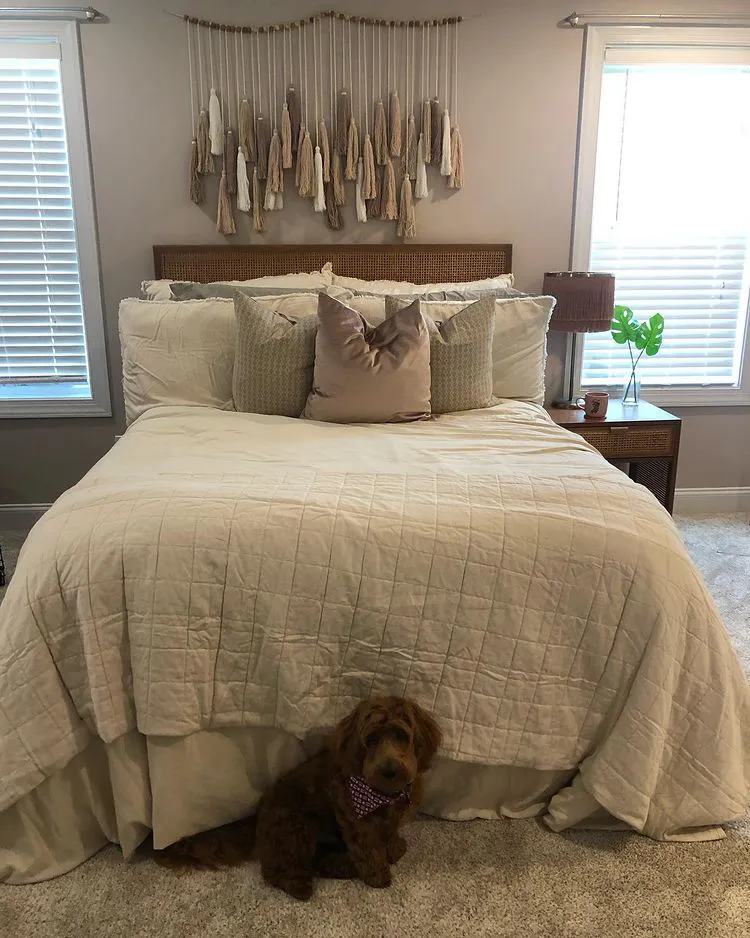 Sherwin Williams SW 6043 Unfussy Beige в интерьере фото