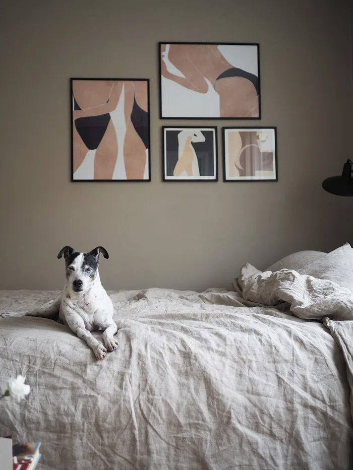 Плавающий лес