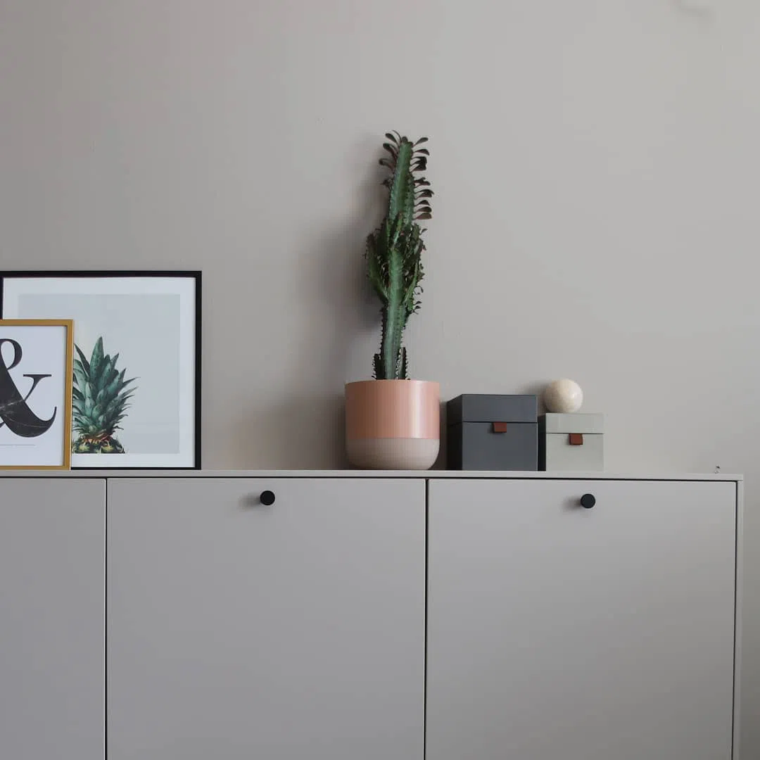 Плавающий лес