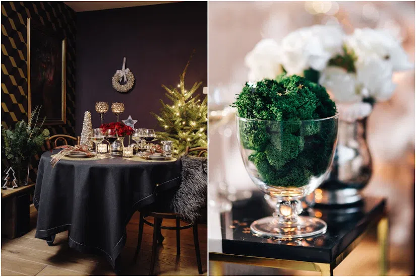 Инжир (Viikuna)