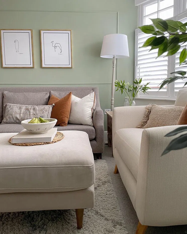 Фисташковый цвет стен в интерьре Farrow and Ball Vert de Terre