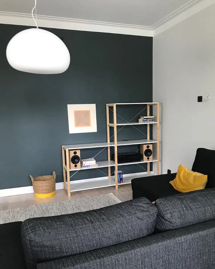 Гостиная с темной стеной N439 Впадина и светло-серой стеной