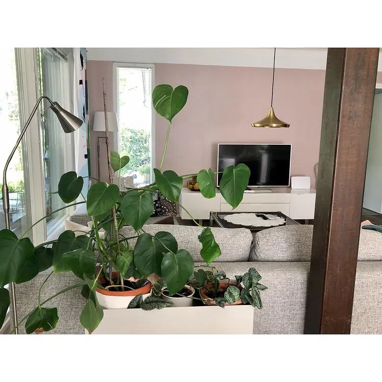 Интерьер колор-блок с розовыми стенами X477 Императрица