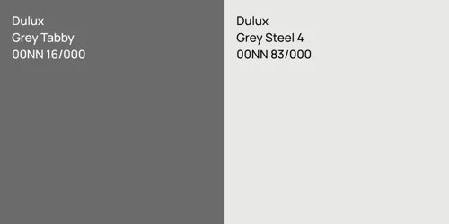 00NN 16/000 Grey Tabby vs 00NN 83/000 Grey Steel 4