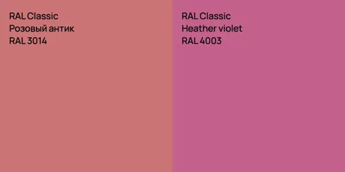 RAL 3014 Розовый антик vs RAL 4003  Heather violet