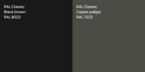 RAL 8022  Black brown vs RAL 7022 Серая умбра