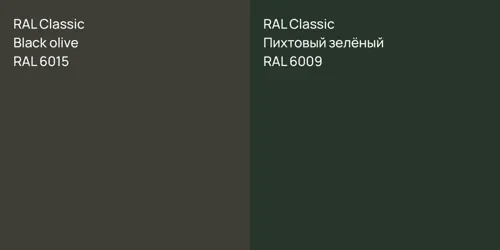 RAL 6015  Black olive vs RAL 6009 Пихтовый зелёный