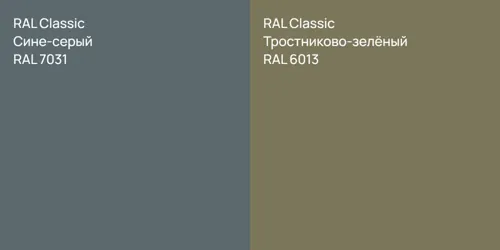 RAL 7031 Сине-серый vs RAL 6013 Тростниково-зелёный