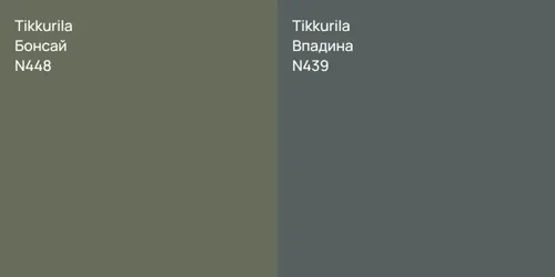 N448 Бонсай vs N439 Впадина