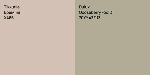 X465 Брекчия vs 70YY 43/113 Gooseberry Fool 3