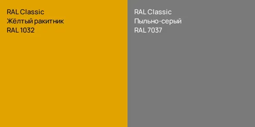 RAL 1032 Жёлтый ракитник vs RAL 7037 Пыльно-серый