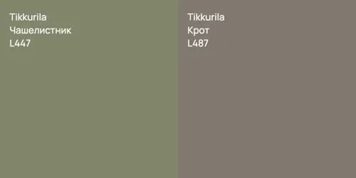L447 Чашелистник vs L487 Крот