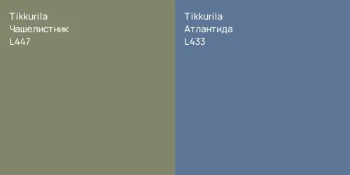 L447 Чашелистник vs L433 Атлантида