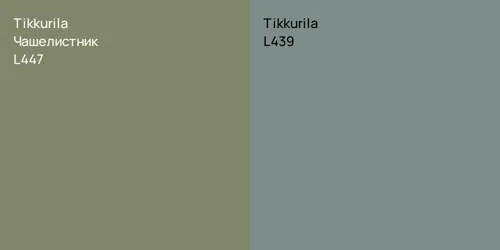 L447 Чашелистник vs L439 