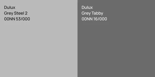 00NN 53/000 Grey Steel 2 vs 00NN 16/000 Grey Tabby