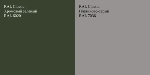 RAL 6020 Хромовый зелёный vs RAL 7036 Платиново-серый