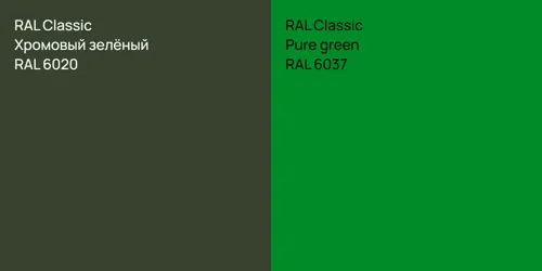 RAL 6020 Хромовый зелёный vs RAL 6037  Pure green
