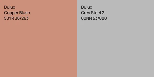 50YR 36/263 Copper Blush vs 00NN 53/000 Grey Steel 2