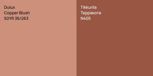 50YR 36/263 Copper Blush vs N405 Терракота