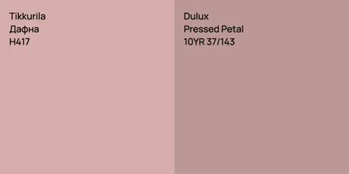 H417 Дафна vs 10YR 37/143 Pressed Petal