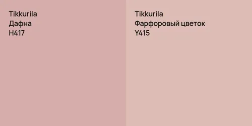 H417 Дафна vs Y415 Фарфоровый цветок