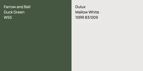 W55 Duck Green vs 10RR 83/009 Mallow White