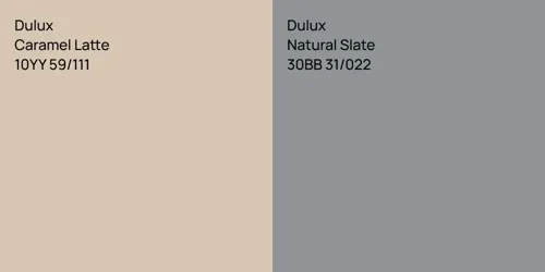 10YY 59/111 Caramel Latte vs 30BB 31/022 Natural Slate