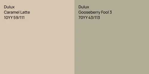 10YY 59/111 Caramel Latte vs 70YY 43/113 Gooseberry Fool 3