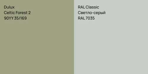90YY 35/169 Celtic Forest 2 vs RAL 7035 Светло-серый
