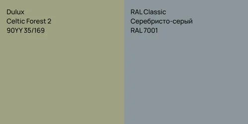 90YY 35/169 Celtic Forest 2 vs RAL 7001 Серебристо-серый