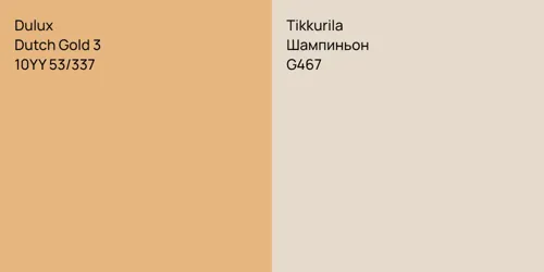 10YY 53/337 Dutch Gold 3 vs G467 Шампиньон