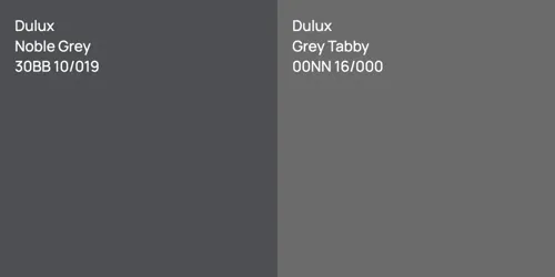 30BB 10/019 Noble Grey vs 00NN 16/000 Grey Tabby