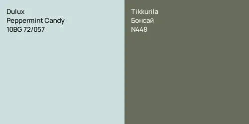10BG 72/057 Peppermint Candy vs N448 Бонсай
