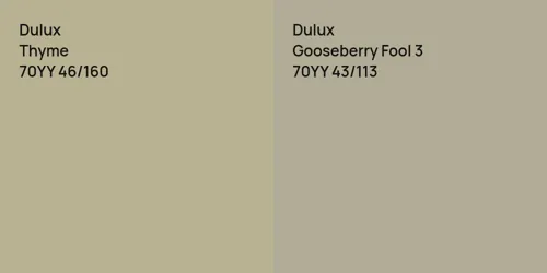 70YY 46/160 Thyme vs 70YY 43/113 Gooseberry Fool 3