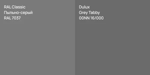 RAL 7037 Пыльно-серый vs 00NN 16/000 Grey Tabby