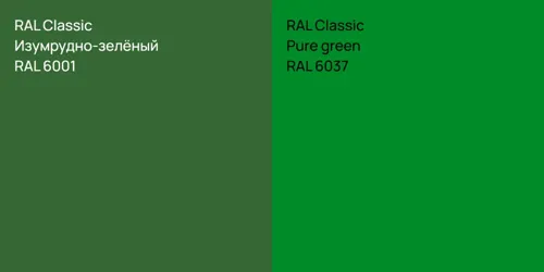 RAL 6001 Изумрудно-зелёный vs RAL 6037  Pure green