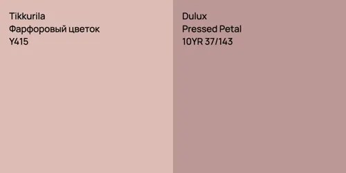 Y415 Фарфоровый цветок vs 10YR 37/143 Pressed Petal
