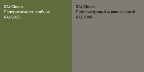 RAL 6025 Папоротниково-зелёный vs RAL 7048 Перламутровый мышино-серый