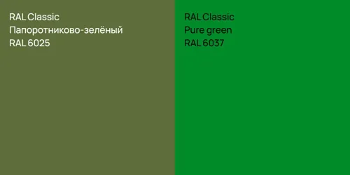 RAL 6025 Папоротниково-зелёный vs RAL 6037  Pure green