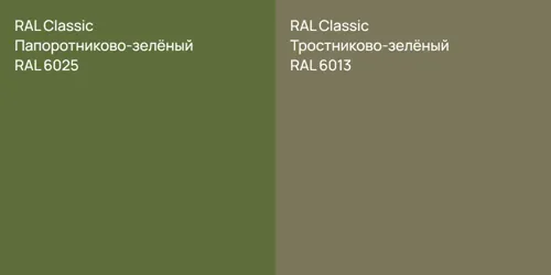 RAL 6025 Папоротниково-зелёный vs RAL 6013 Тростниково-зелёный