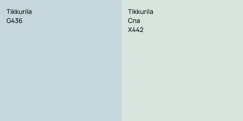 G436 null vs X442 Спа